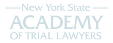 new york state academy of trial lawyers - attorney drew palscik - champlain valley law