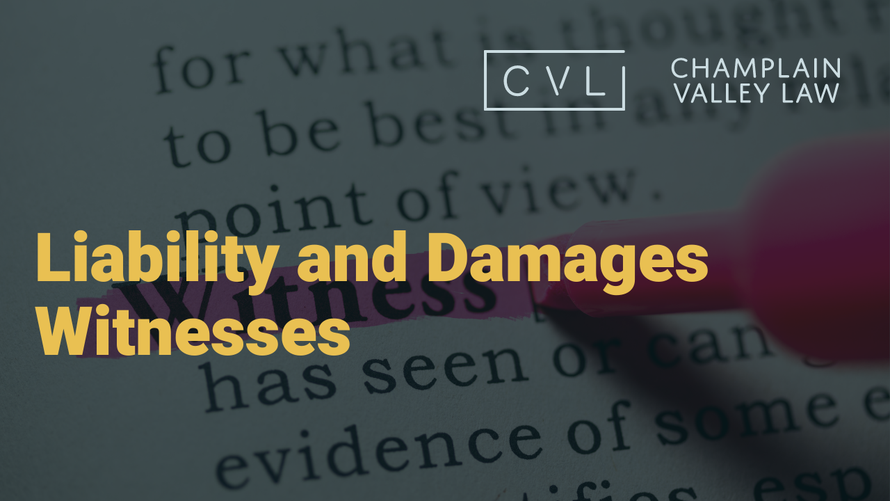 The difference between a Liability and Damages Witnesses.