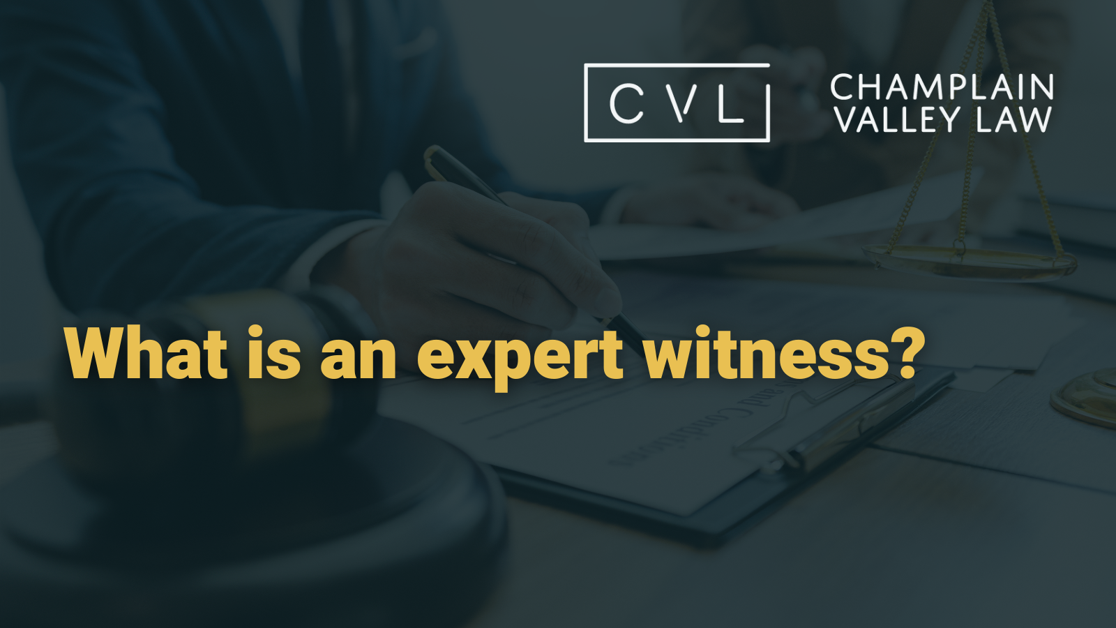 What is an Expert Witness?